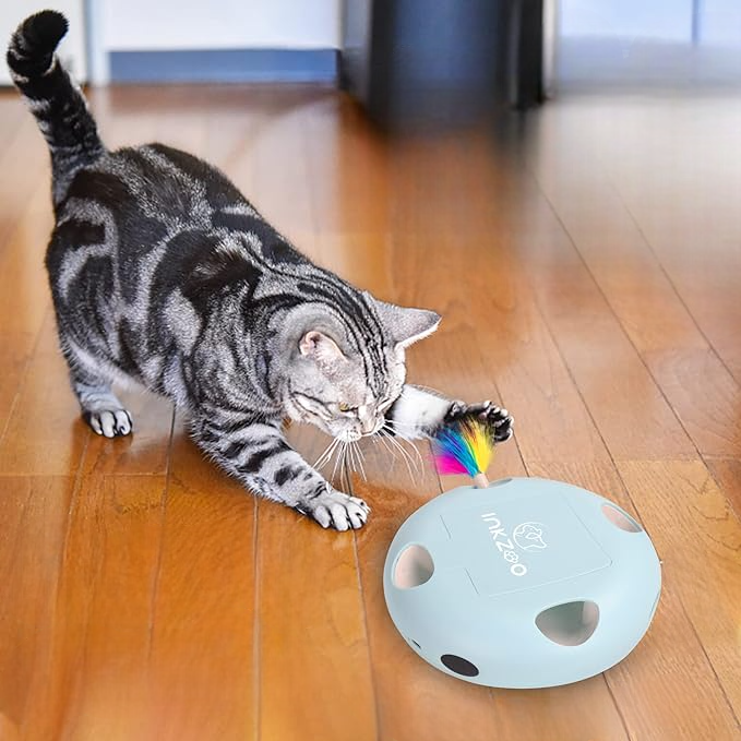Jeux Chat - PlumeMagique™ - Bleu
