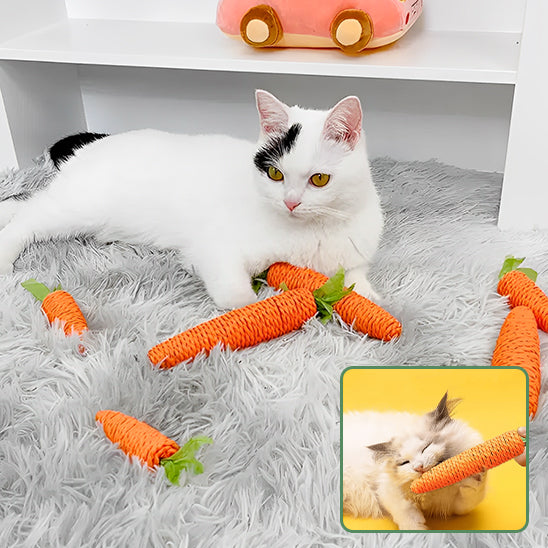 bâton-carrotte-pour-chat