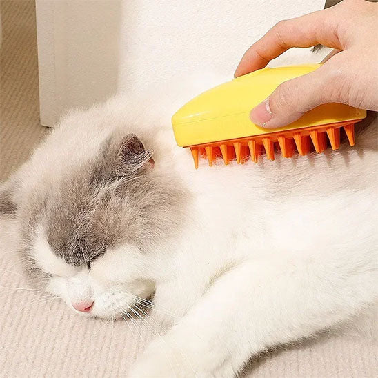 Brosse Ă vapeur pour chat | Brosse