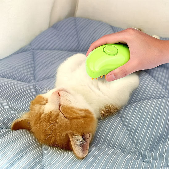 Brosse Ă vapeur pour chat | Brosse