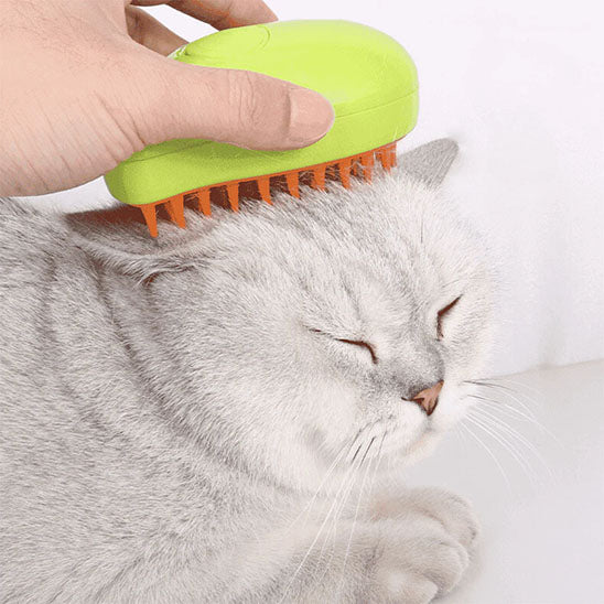 Brosse Ă vapeur pour chat | Brosse