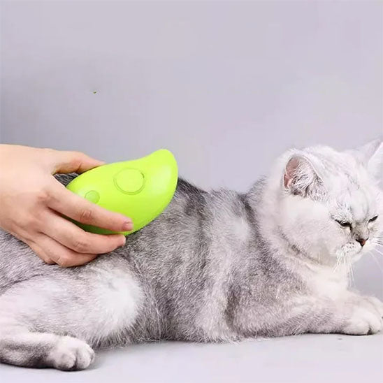 Brosse Ă vapeur pour chat | Brosse
