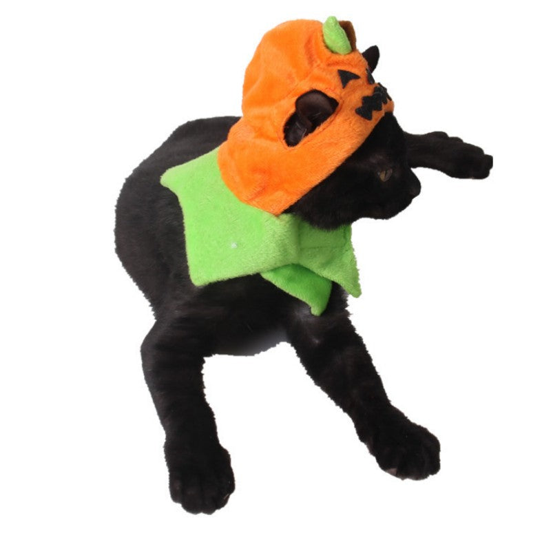 Halloween - Chapeau citrouille pour chat