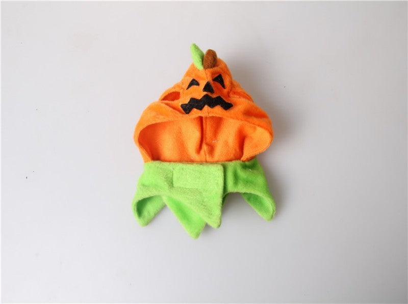 Halloween - Chapeau citrouille pour chat