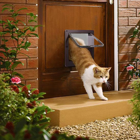 Chatière 4 voies Go/Back™ | Chatière pour chat
