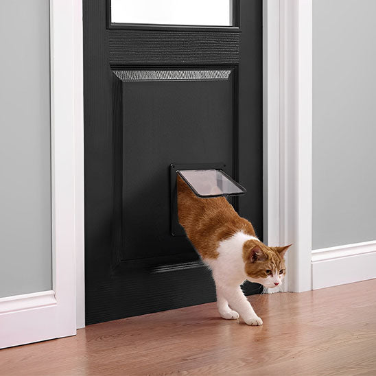 Chatière 4 voies Go/Back™ | Chatière pour chat
