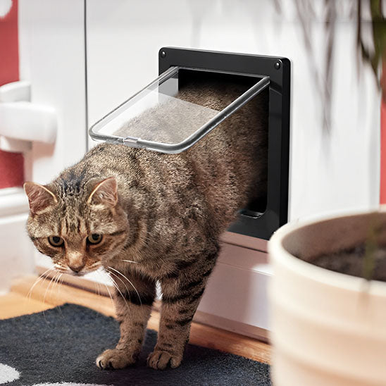 Chatière 4 voies Go/Back™ | Chatière pour chat