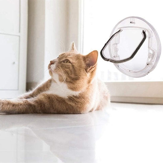 Porte In/Out transparente - Chatière