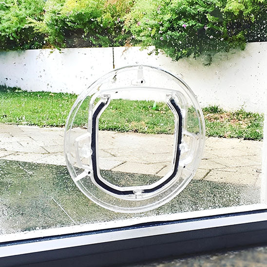 Porte In/Out transparente - Chatière