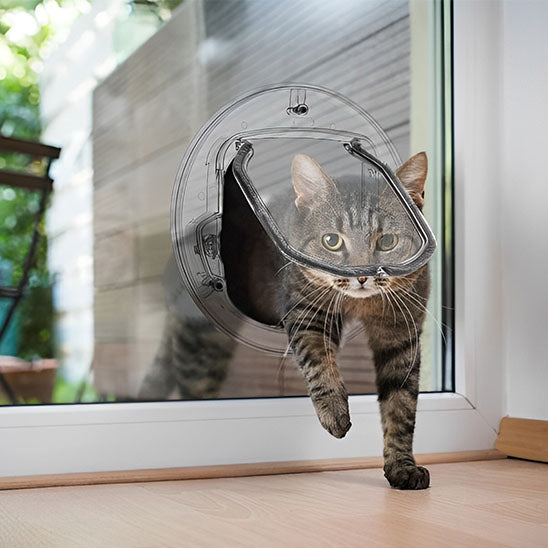 Porte In/Out transparente - Chatière