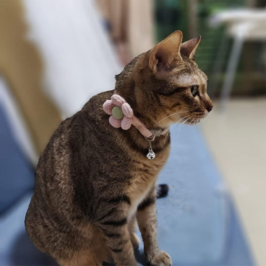 Passion Floralâą | Collier pour chat