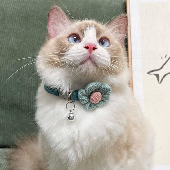 Passion Floralâą | Collier pour chat