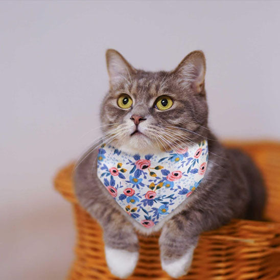 Passion Bandana™ | Collier pour chat