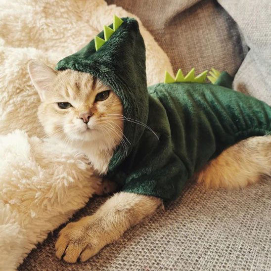 đŠ DĂ©guisement pour chat | Costume Chatosaurusâą đŠ