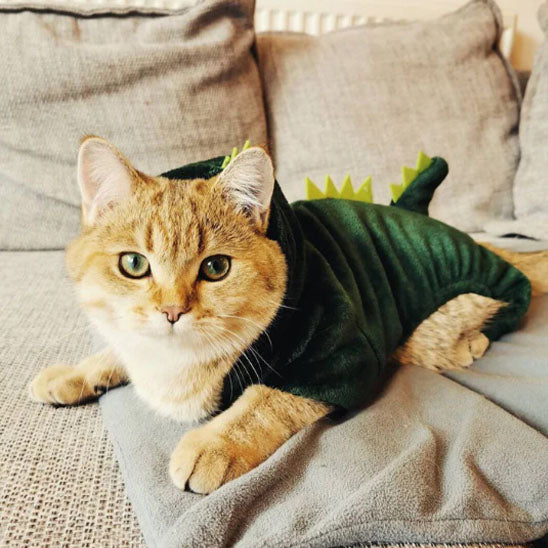 đŠ DĂ©guisement pour chat | Costume Chatosaurusâą đŠ