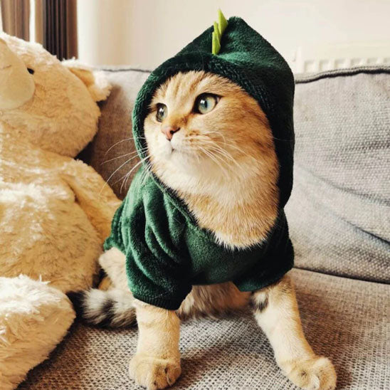 đŠ DĂ©guisement pour chat | Costume Chatosaurusâą đŠ