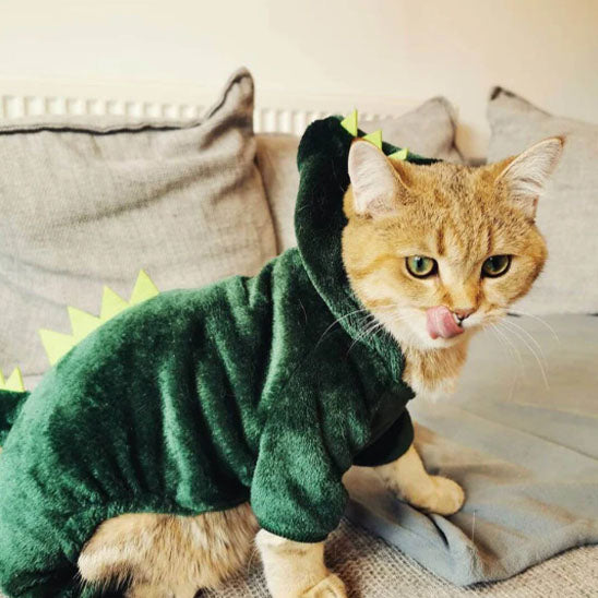 đŠ DĂ©guisement pour chat | Costume Chatosaurusâą đŠ