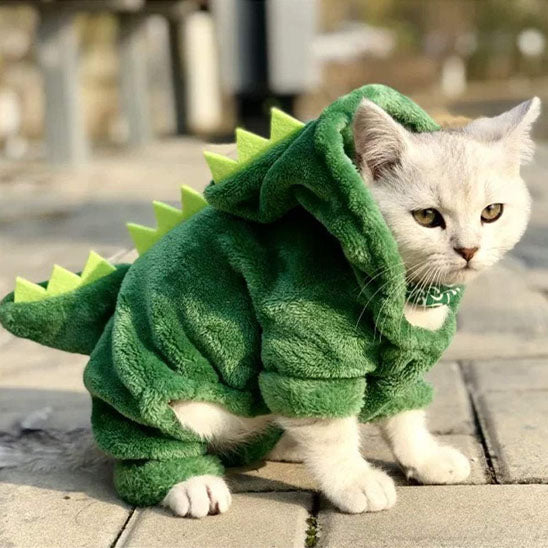 đŠ DĂ©guisement pour chat | Costume Chatosaurusâą đŠ