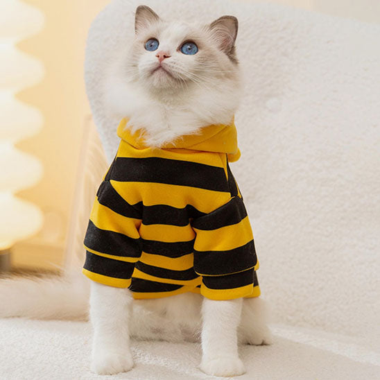 Déguisement pour chat Bzzzzz™