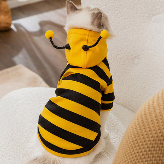 Déguisement pour chat Bzzzzz™