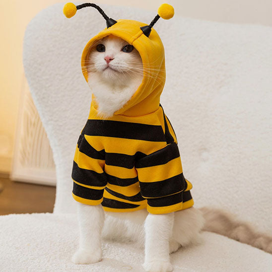 Déguisement pour chat Bzzzzz™