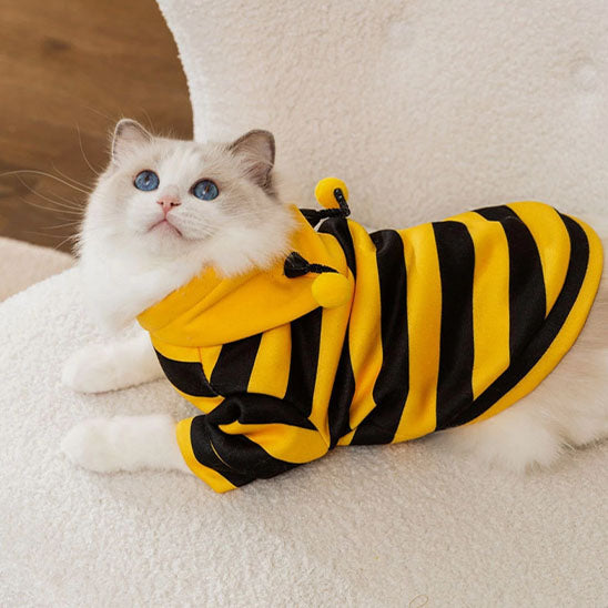 Déguisement pour chat Bzzzzz™