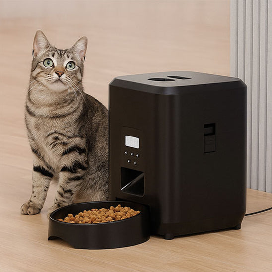 Distributeur avec minuterie | Distributeur de croquettes