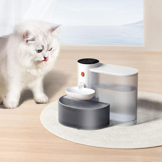 💧Fontaine intelligente Petgravity™💧