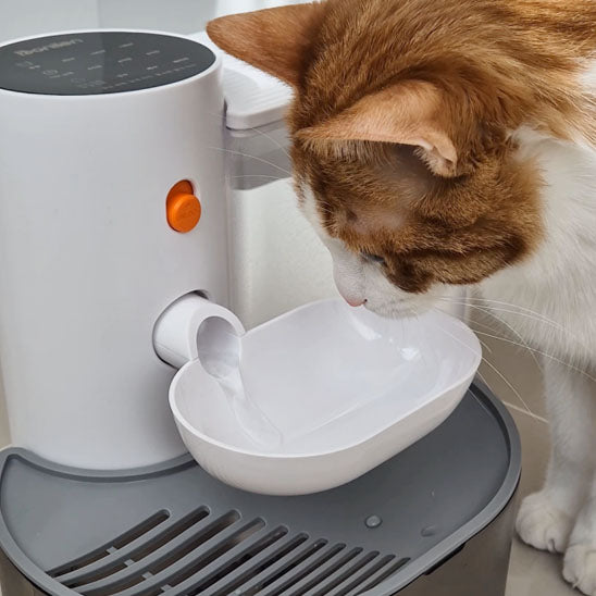 💧Fontaine intelligente Petgravity™💧