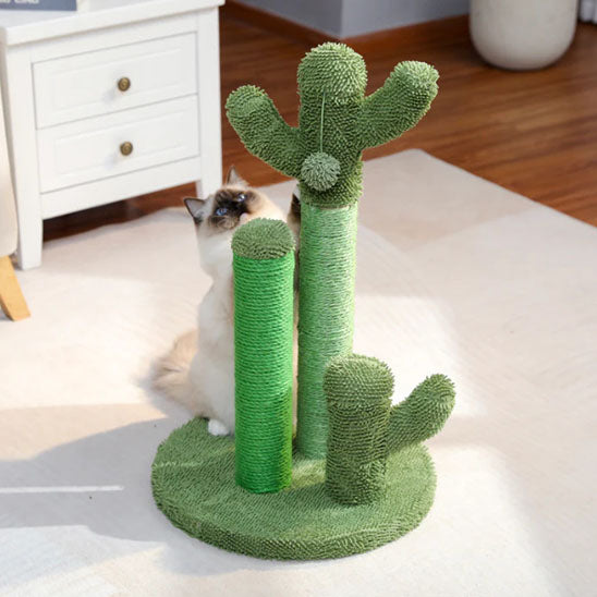 Mont Cactusâą | Griffoir pour chat