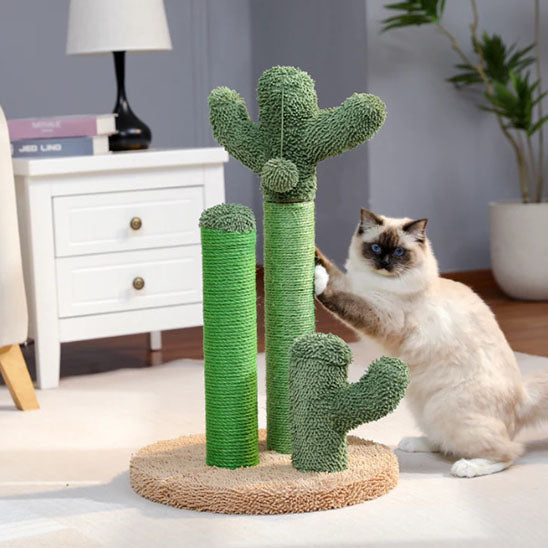 Mont Cactusâą | Griffoir pour chat