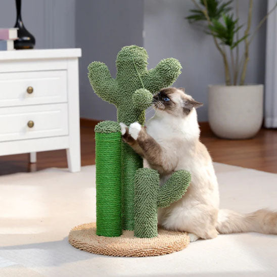 Mont Cactusâą | Griffoir pour chat