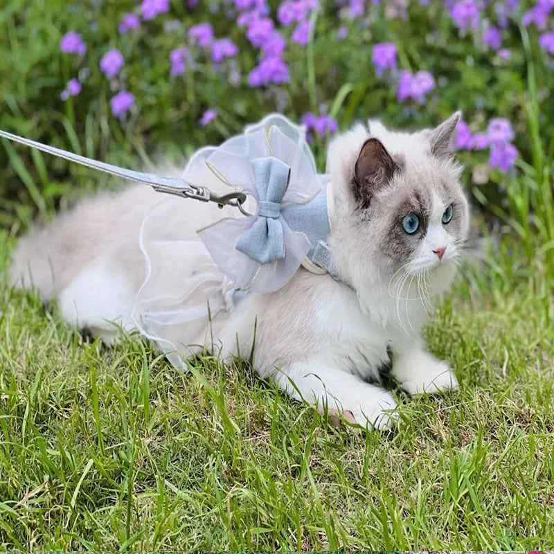 Harnais TutuBelle™ | Harnais pour chat