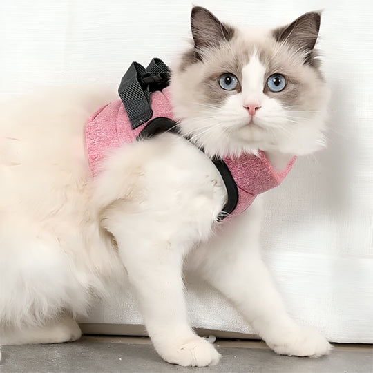 Harnais pour chaton OnTheGoâą