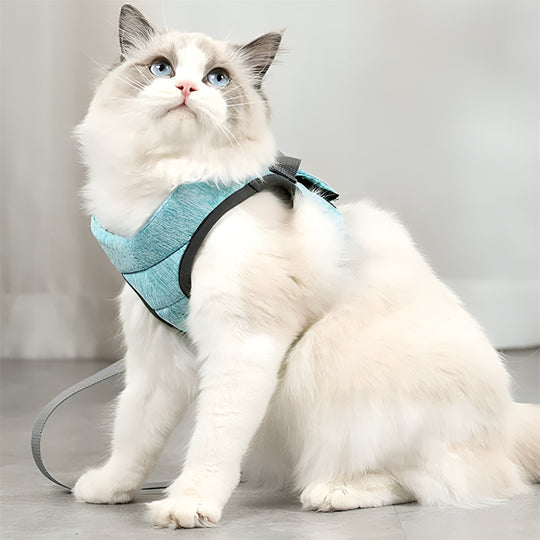 Harnais pour chaton OnTheGoâą