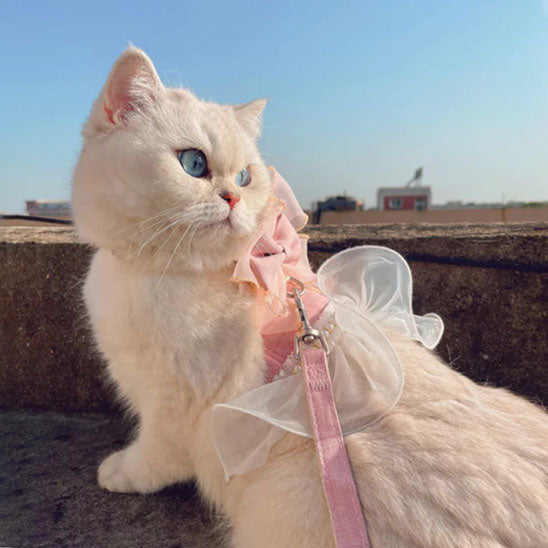 Harnais TutuBelle™ | Harnais pour chat