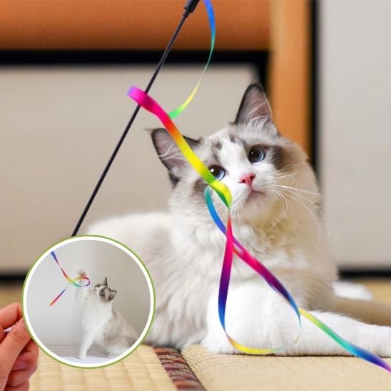 Baguette ArcEnChat™ | Jouet pour chat