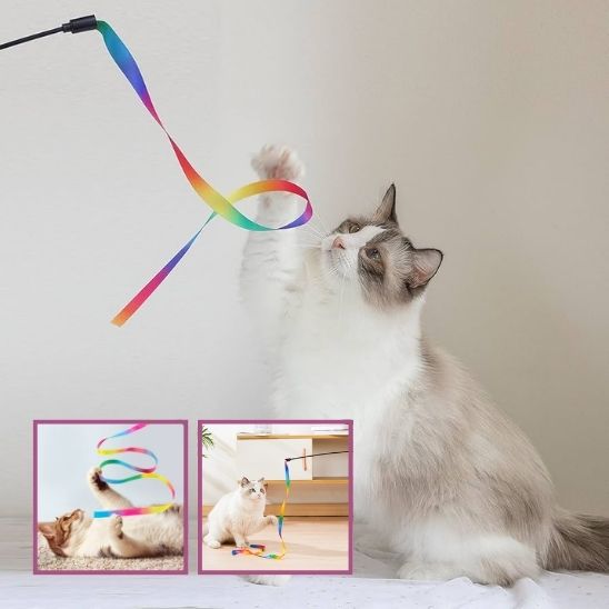 Baguette ArcEnChat™ | Jouet pour chat