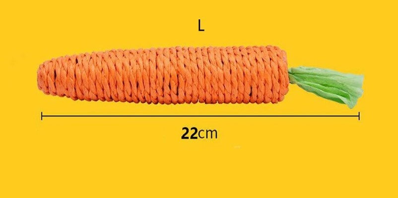 Bâton de dentition™ | Carotte
