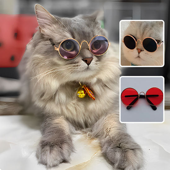 Déguisement pour chat | Chalunettes™