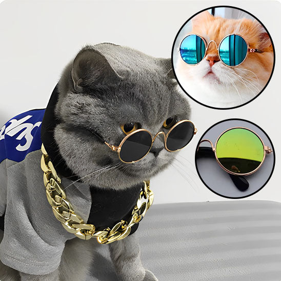 Déguisement pour chat | Chalunettes™
