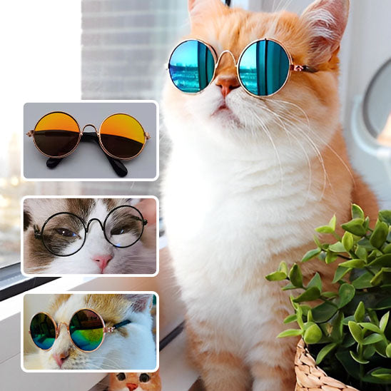 Déguisement pour chat | Chalunettes™