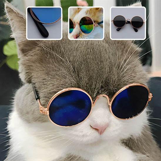Déguisement pour chat | Chalunettes™