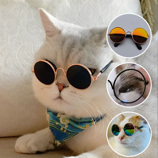 Déguisement pour chat | Chalunettes™