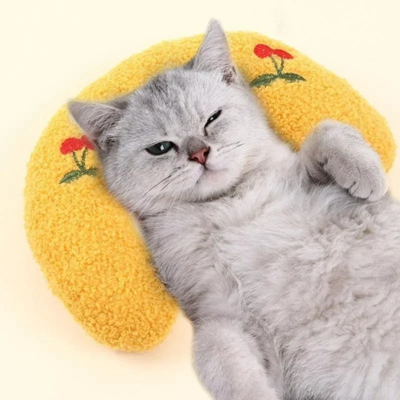 oreiller-pour-chat