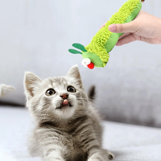 Peluche catnip