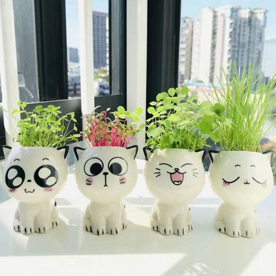 🪴Pots de fleurs Meow™🪴