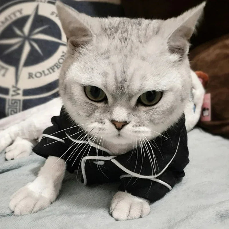Pyjama BoDodo™ | Vêtement pour chat