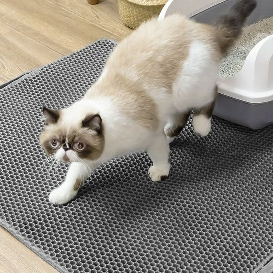 tapis-pour-litiere