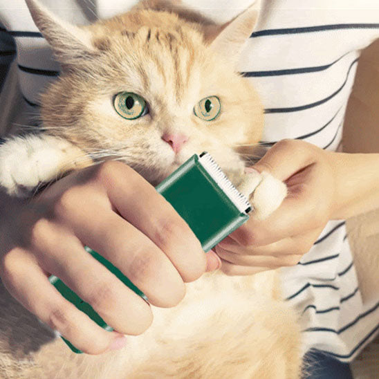 😸Tondeuse électrique silencieuse Clipper™ | Chat😸